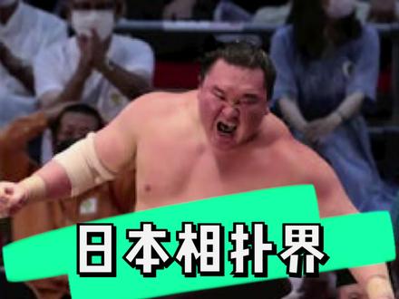 日本相扑界 更新换代 新老横纲大决战。白鹏对照之富士 #日本 #相扑 #vlog