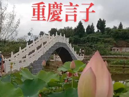 重庆言子你晓得几串