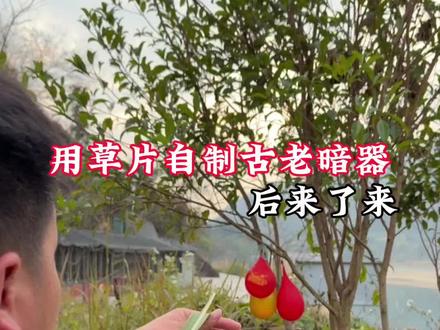 不会吧用草片就能够自制唐门暗器#真实生活分享计划 #趣味测试 #趣味实验 #日常分享