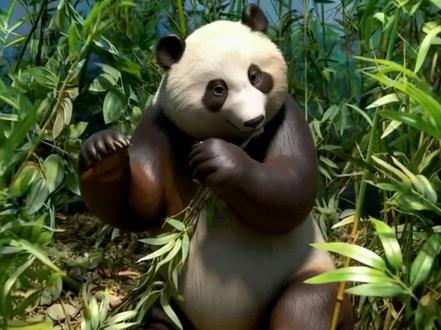 【陕自博展品有话说】第一集《熊语》:憨憨萌萌的国宝团宠大熊猫闪亮登场!曾在秦岭林海间撒欢的它,如今在陕西自然博物馆等你听懂心意🐼~快来陕自博,和萌宝一起 “探个秘”!
#陕西自然博物馆 #大熊猫 #秦岭大熊猫 #野生动物零距离 #陕自博展品有话说