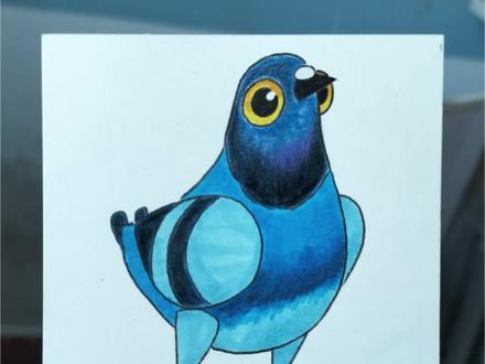 画个疯狂的鸽子吧 #疯狂的鸽子 #玩到爽飞 #画画 #绘画 #一起学画画