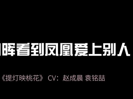#广播剧 #提灯映桃花 #淮上 #赵成晨 #漫播 这一刻占有欲侵蚀了周晖的理智