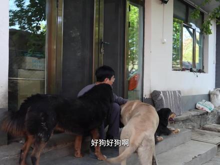 思念无声,守候有方 #思宝 #骏良 #狗粮 #真诚是必杀技
logo小巧思:
方块小狗是对话框,小狗可以用这种方式跟你交流
“bestie”指的是一个人的“最好的朋友”或者“挚友”,"Paw"是“爪子”的意思,是骏良的好朋友们的小狗爪印
其实对于骏良做自己的品牌一点也不惊讶,很早之前就觉得骏良会有自己的狗粮工厂,因为骏良的初心就是让狗宝们吃上放心的好粮,这下终于可以从原材料的生产一直到成品自己精准把控了。
真诚永远是必杀技,就像骏良说的以他现在的流量如果他去接点商务广告甚至经常性的直播让大家刷点小礼物,发了狠的卖周边这个收入就非常可观了但是他并没有这么做。他一直走的稳稳当当,凭着良心做品质,不急不躁,甚至工厂建造也是要等着那一片麦田收获后。明明有更多选择但是他愿意把自己的收入去投入到狗粮猫粮的研发生产中,不计成本,我相信这样做出来的粮和他的人一样值得信赖。(其实可以发狠卖点周边,我的毛毯快点补货!!!)
过往皆为序章,新篇正式起航。
@抖音小助手