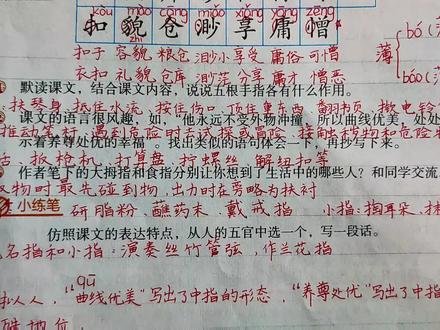 五年级语文下册22、《手指》课后习题讲解,五根手指各有什么作用#关注我持续更新小学知识