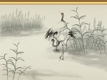 物理AI产业链 #股票#金融#财经