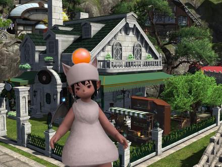 【FF14】你真的会用国服的官网吗