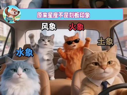 看完真的精准到离谱 #星座 #火象 #水象 #土象 #风象