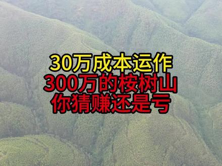 30万成本如何运作300万的桉树山,你猜赚还是亏?#桉树测量 #桉树 #桉树种植 #无人机测量 #桉树高产