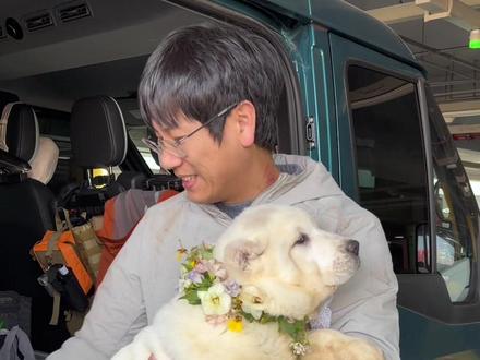 欢迎品鉴米花之味!#中亚 #大型犬 #萌宠 #骏良