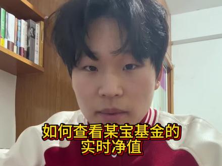 如何查看某宝基金的实时净值?#基金 #投资 #小倍养基
