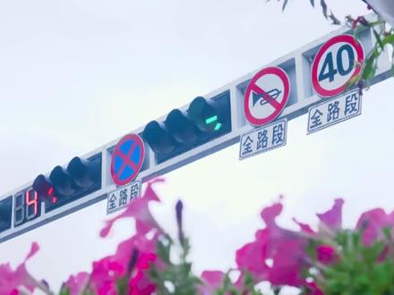 小阿枫二十首歌曲动人磁性的声线是疗伤的良药