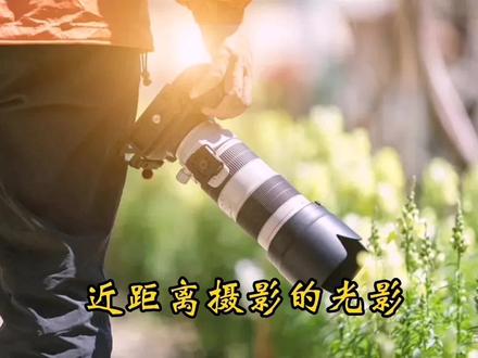 (近距离摄影的光影)美都摄影小课堂 #微距摄影 #微观世界 #创意摄影