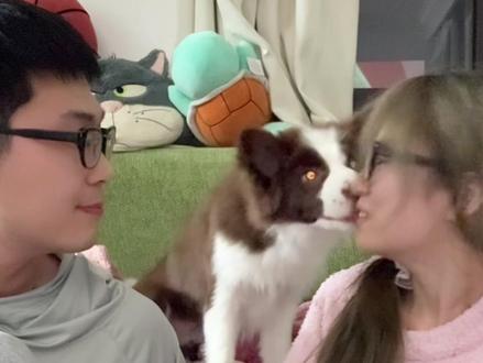 所以是先看向谁了#同时转头看小狗看谁挑战 #边牧 #不养狗不知道养狗的乐趣