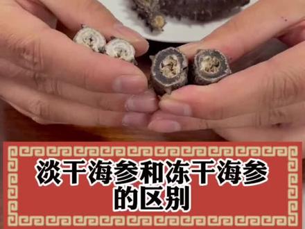 纯淡干海参和冻干海参的区别!这2种价格差的不是一丁点!#纯淡干海参#冻干海参不能买 #海参鉴别 #科普