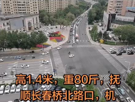 抚顺赶超北杭深 机器人指挥交通快实现了!