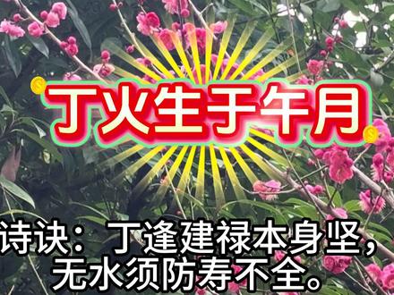 丁日生于午月,运之喜忌。