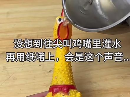 #尖叫鸡 这只鸡的声音太好笑了哈哈哈哈哈哈哈哈哈哈哈哈哈哈哈哈哈哈哈哈哈哈哈哈哈哈哈哈哈哈哈哈哈哈哈哈哈哈哈哈哈哈哈哈哈哈哈哈哈#华晨宇 #舞台 #神级现场 #明日之子