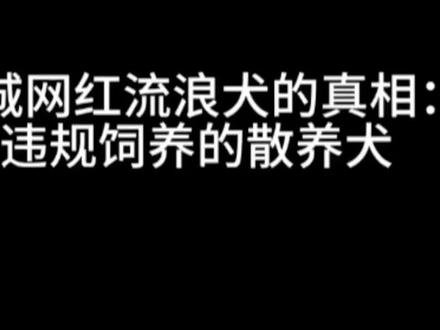 “黄站长”后续 一条散养狗是如何走上神坛的?正如即将上映的电影《来自监狱的妈妈》把一个罪犯包装成家暴受害对象一样