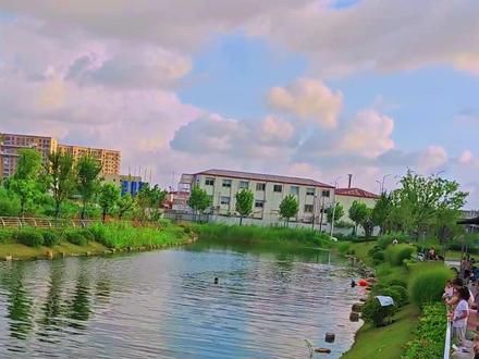 这个钓点的位置在上海普陀区长征镇真光路路与光复西路口东北角的大池塘里,真光路与云岭西路口的东南角。#钓点分享 #上海小物钓 #野河野钓 #水质净化 #沪里白条