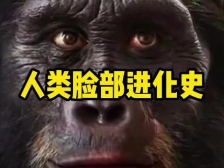 15秒带你看完人类百万年脸部进化过程。一定要看到最后,你绝对想不到。未来人类又会进化成啥样?#人类进化史 #科普知识