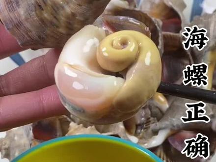 #抖音美食 #海螺 #海螺正确吃法 海螺这样做