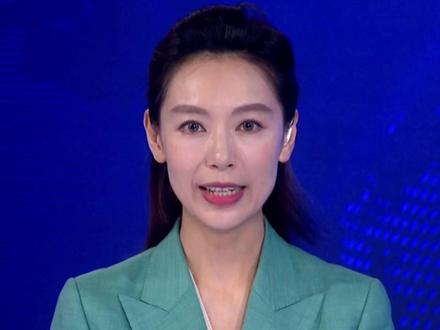 郑丽文赴美行程曝光,行前多次痛斥“台独”
