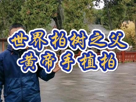 这么古老的柏树,是不是真的是黄帝种的呢?@抖音小助手 #西安 #陕西玩啥 #旅游vlog #黄帝陵
