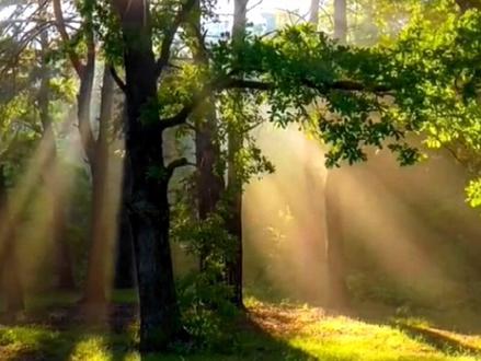 堪称史上骂人非常狠的诗词,不带一个脏字 #人生感悟 #古诗词#正能量#