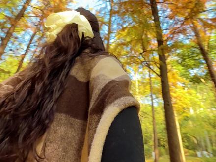 在泉州森林公园偶遇了超美的落羽杉。 #落羽杉 #泉州森林公园