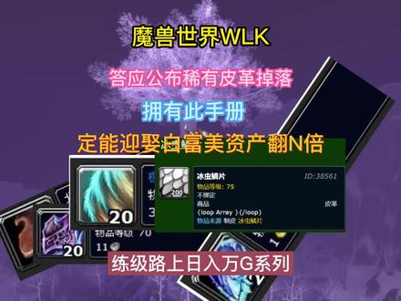 魔兽世界WLK日入5W必须掌握的剥皮手册@魔兽世界.mp4 #魔兽世界巫妖王