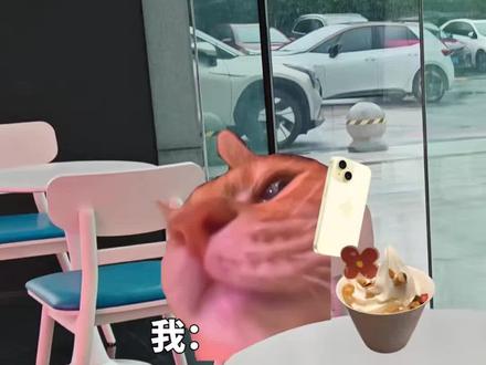 当知道秘密的方式也是一个秘密! #香蕉猫 #猫meme