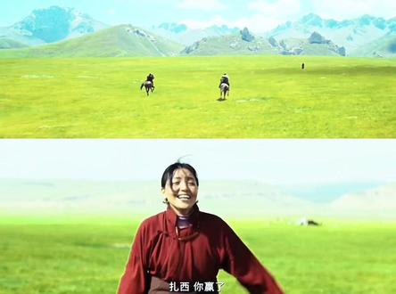 后来多杰的失踪给了他们重重的的打击#生命树 #扎西#才仁 #多杰