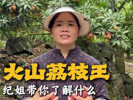 荔枝王凭什么这么贵?#新农人 #乡村振兴 #海南水果 #荔枝王