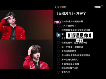 这一秒 像梦一般的心跳 #当遇见你刘宇宁 #ai翻唱 #豚馒#橹穆
