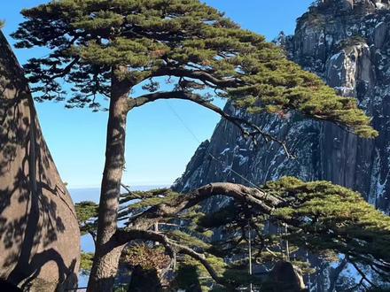 历时12小时,完成黄山徒步。云谷上,玉屏下。#爬黄山天下无山 #黄山雪景雾凇 #迎客松笑迎天下客 #始信峰 #梦笔生花