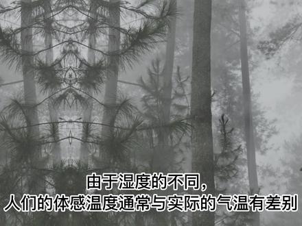 湿度和体感温度有什么关系? #科学 #温度 #湿度 #体感温度 #湿冷 #贵阳 #成都 #长沙 #海口