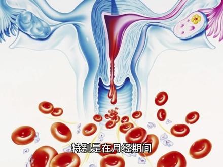 中医建议女生不爬或少爬山,为什么?
当我说我运动平时会爬山,我的主治医生坚定地摇头,说不要爬山,平地散步,爬山和爬楼梯一样,对女性的膝盖很伤,而且很耗气血。#养生 #爬山 #每天跟我涨知识 #养生之道