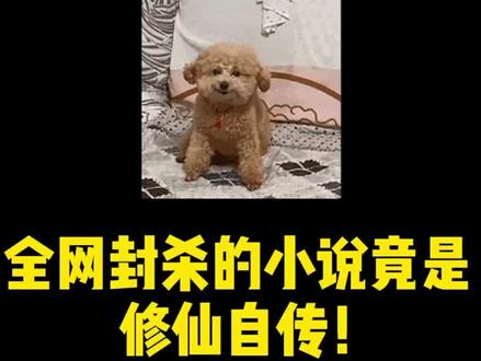 写小说的都是人才啊,你真以为修仙只是古老的传说?知道这本书为什么被封不?借着小说写自传!#小说 #番茄小说