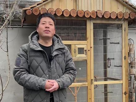 鸟语花香,有鸟的花园才是完美的!自制鸟笼!这个春天,鸟儿养起来!#生态鸟笼 #鸟笼制作 #小院改造 #花园生活