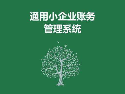 通用小企业账务管理系统#财务核算#流水账