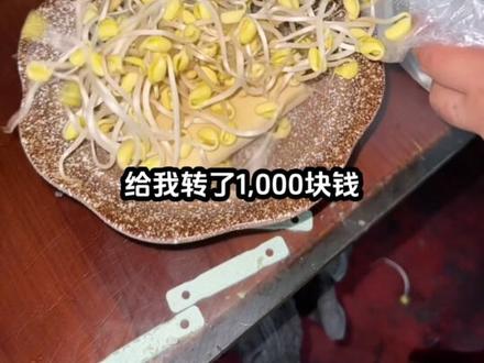 昨天又开口问老公要生活费了。没想到他当着好多人的面说了句这么快就花完了,是不是只有我开口问要钱#vlog日常 #婚后生活 #记录真实生活 #打工人 #生活不会辜负每一个努力的人