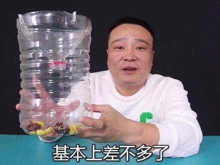 实测:用废弃的矿泉水瓶制作成扑鱼神器,真的能钓到鱼?#钓鱼 #钓鱼技巧