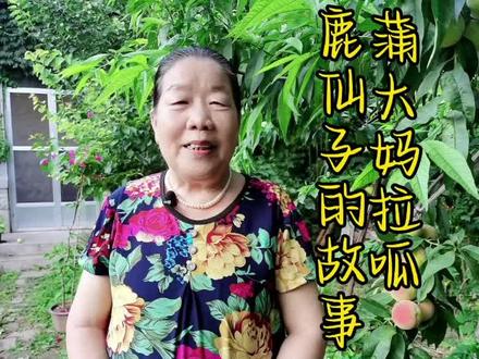 如果有一天你遇到了鹿仙子,你会怎么做呢?今天蒲大妈说知足者常乐~#人老心不老开心快乐就是好 #快乐的农村人 #不管几岁快乐万岁 #忘掉年龄善待自己 #最美不过夕阳红