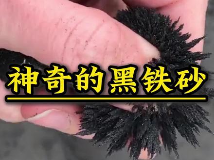 神奇的黑铁砂,发家致富还是牢底坐穿? #铁砂 #致富 #科普