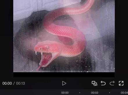 动物变人转场教程来了 今天一分钟教会你动物变人转场效果#动物变人转场 #动物变人 #动物变人转场教程 #剪映 #剪映图片设计 剪辑教程 狐狸拟人转场 美人不是凡胎生 动物变人转场青蛇 动物变人转场狐狸 动物变人怎么剪辑 动物变人ai指令 动物变人转场指令