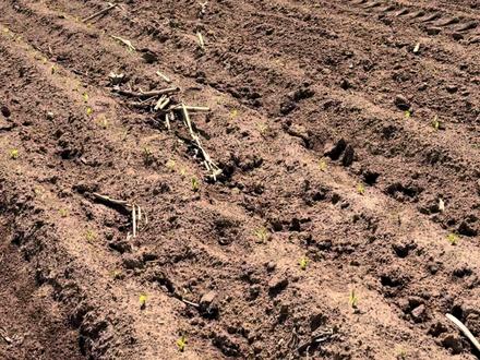 又是“抓马”的一天🥹#我的乡村生活 #velog日常 #骑马#畜牧