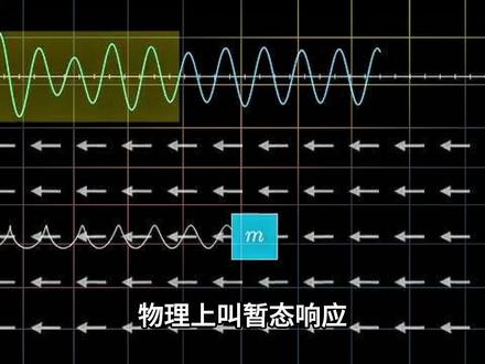 受迫振动:暂态混乱、稳态同步与共振完整解析 #科普 #科普一下 #科普知识 #固有频率 #青年创作者成长计划