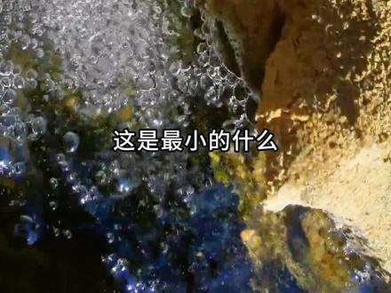 带你认识19个世界上特别小的东西#涨知识 #冷知识 #离谱