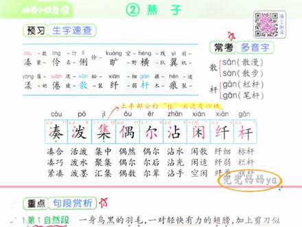 三下语文《燕子》课课贴 #新学期 语文预习就用这个#课课贴,一撕、一帖,太方便了!课课帖纸条,生字、词语、句子,常考重点全整理好了,紧跟新教材,可直接贴书,新品价赶紧冲~#小学语文#知识点总结 #三年级下册数学