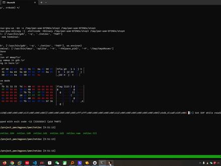 #CTF #PWN ret2shellcode 题目讲解